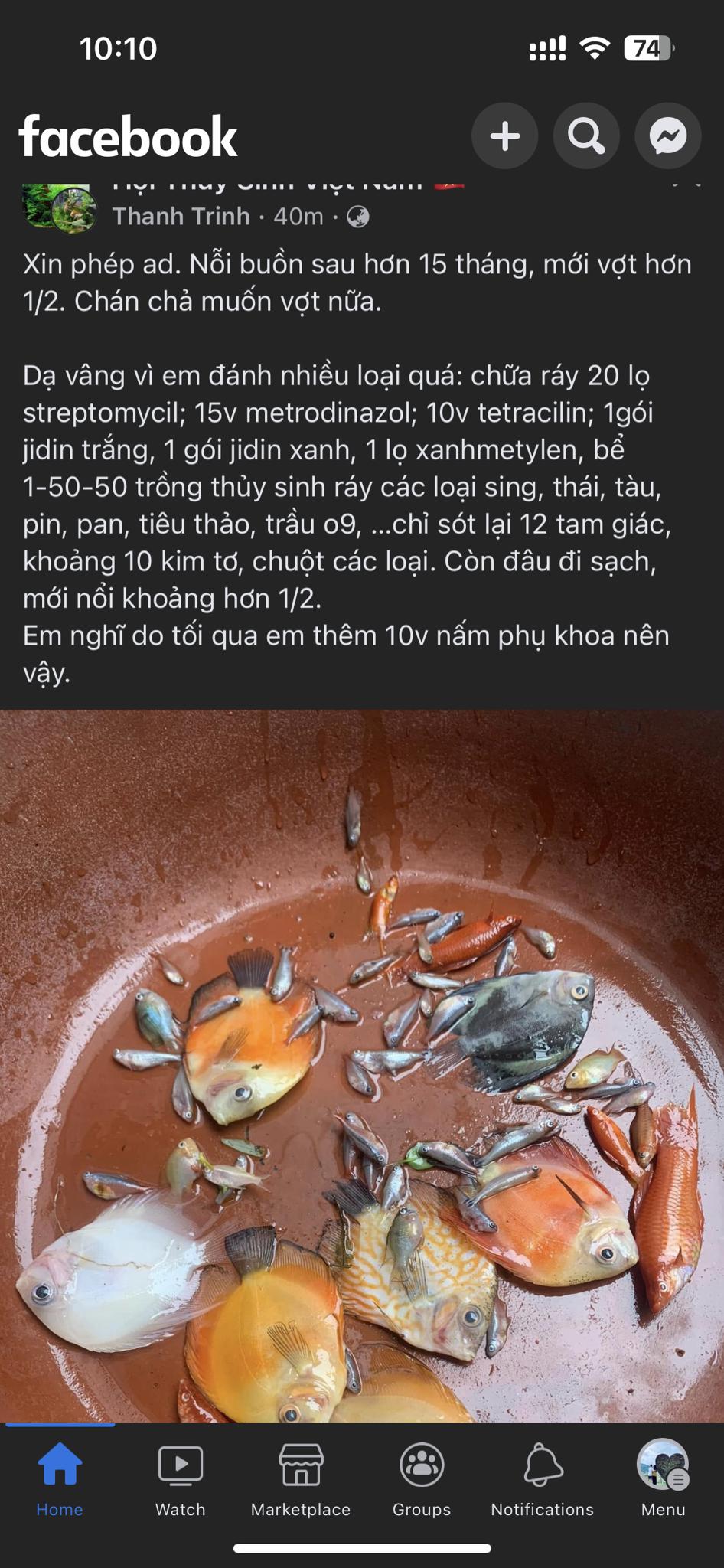 VRyr7KO.jpg