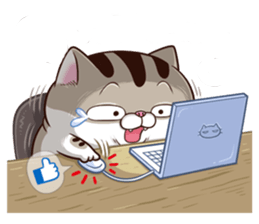 Grbsp5z.png