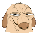 SoifeLk.gif