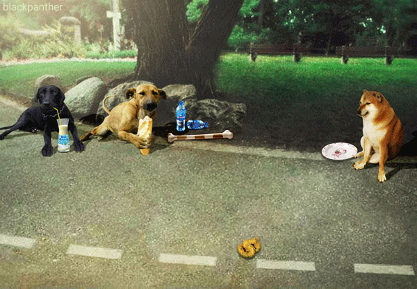 DPZ6WyK.gif
