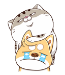 kvEqCBv.gif