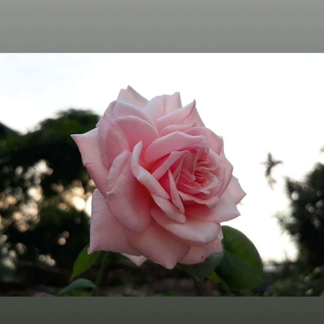 20210fe60796-c158-4505-bee5-2675eb60df9b.jpg