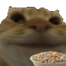 xoOhFHP.gif