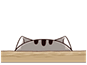 Tn6iJr1.gif
