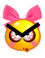 3gkOmZD.png