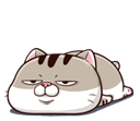 iWfF7yS.png