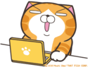 o5ddDl6.gif