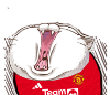 8RRNvWB.png