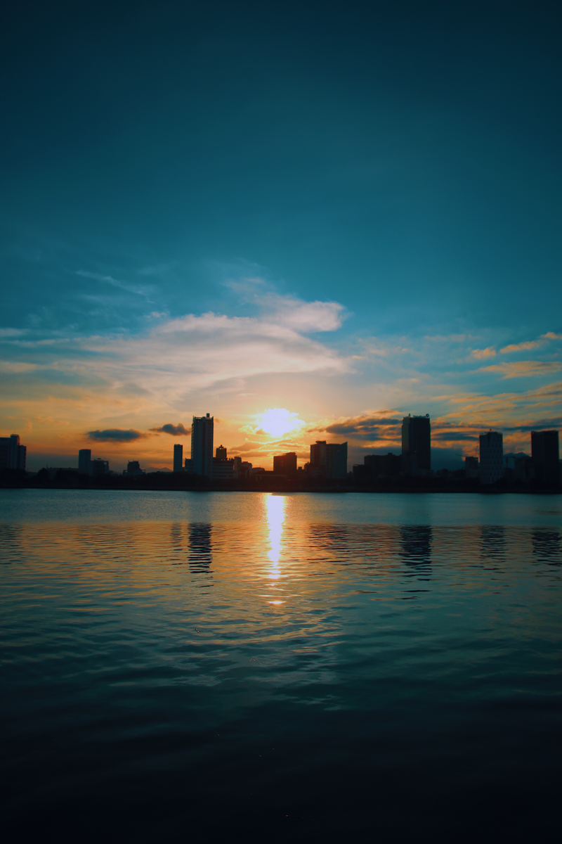 202064f48ef4-5b2c-4a08-8ea4-7fc9fc9666ae.png