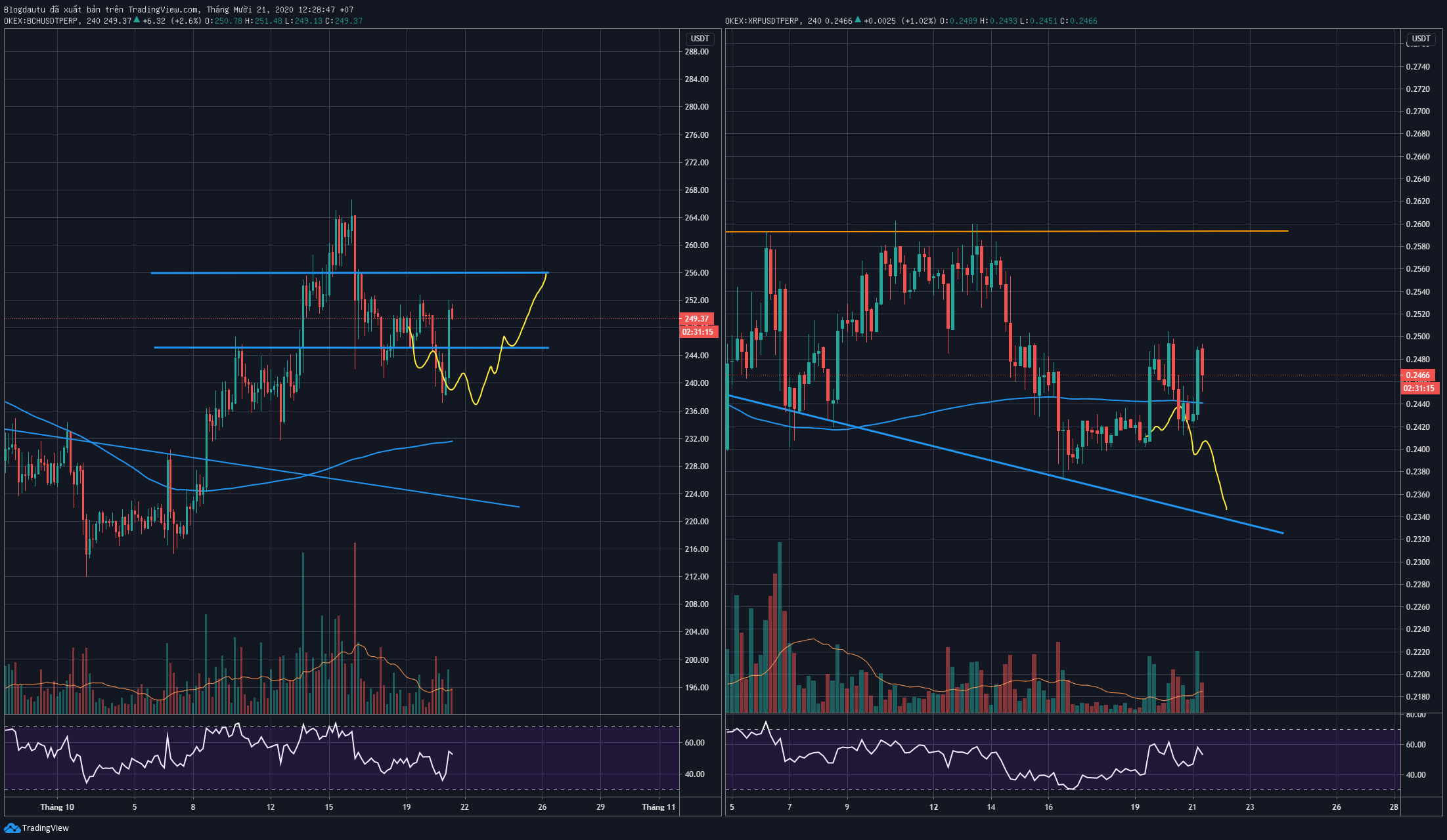 Cập nhật diễn biến thị trường altcoins: đồng BCH và XRP.