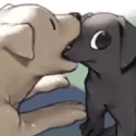 NXEvpc5.gif