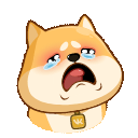 1XYpAFO.gif