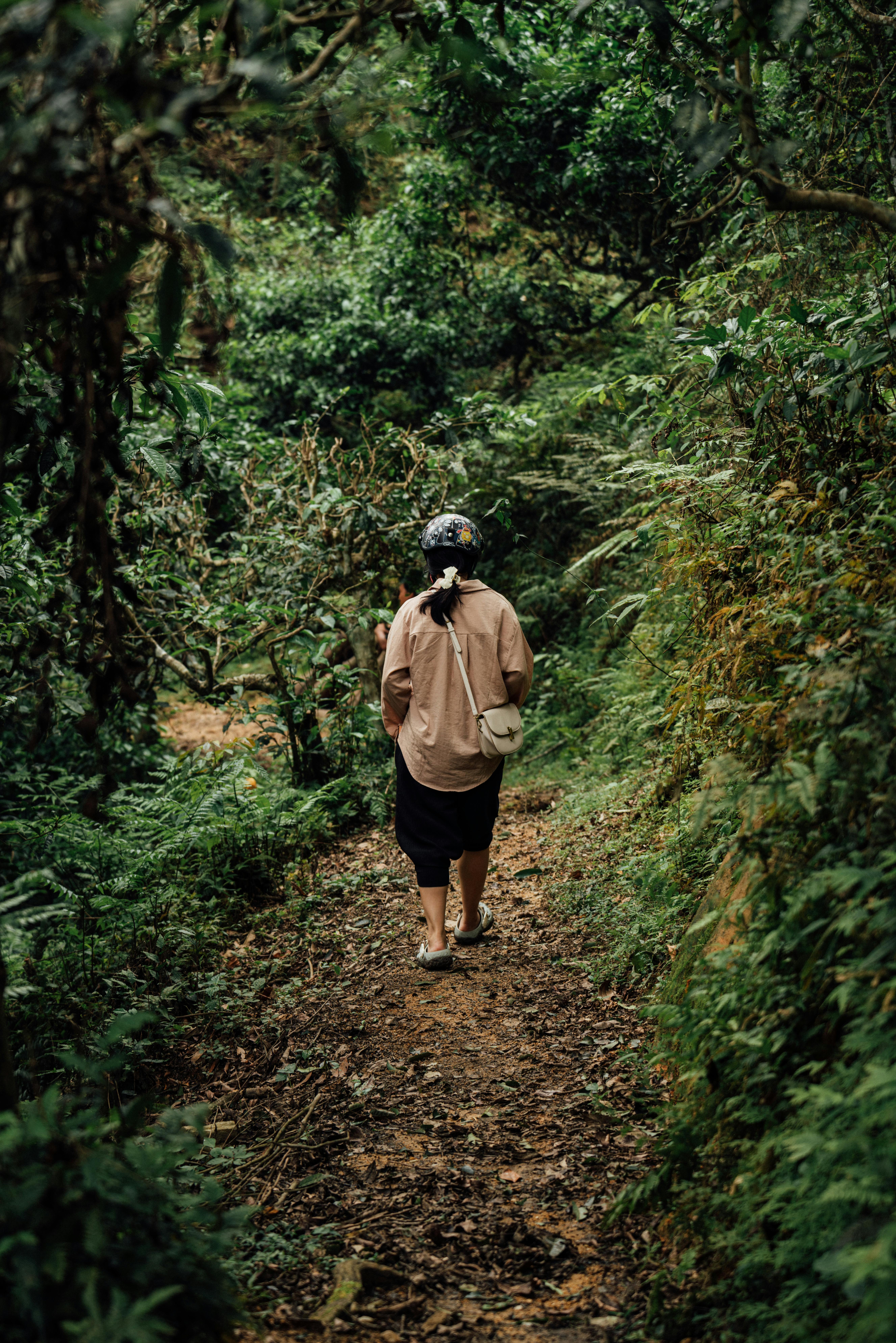 free-photo-of-a-woman-walking-down-a-path-in-the-jungle.jpeg
