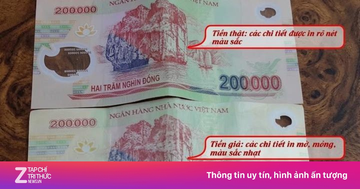 znews.vn