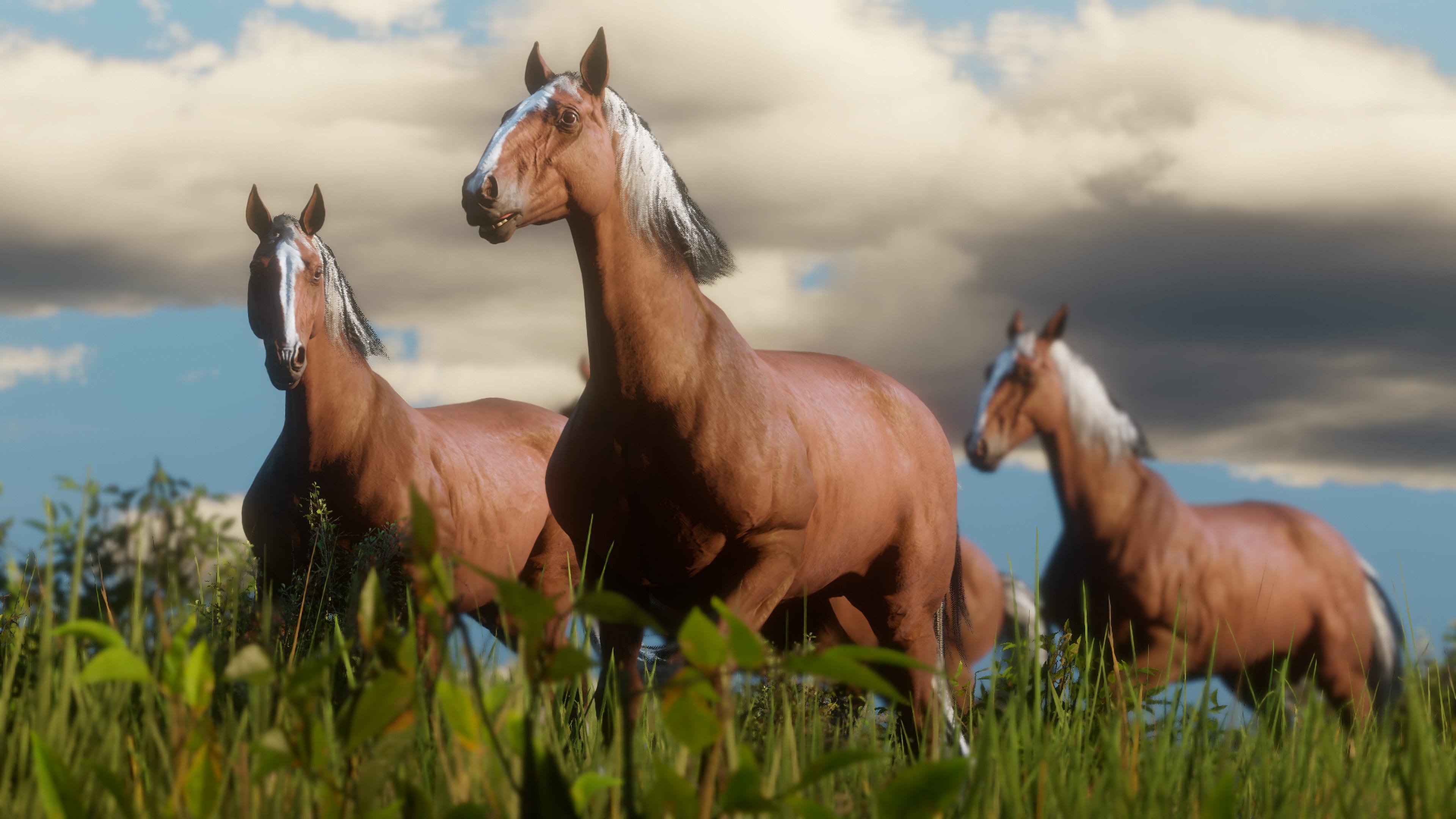 Red-Dead-Redemption-2-new-screens-5.jpg