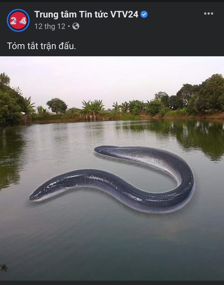 52A8vN3.jpg