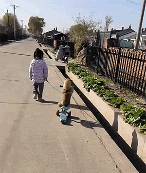 c0f6e1009998e2c1d40c3aa6c8bf1d6f.gif