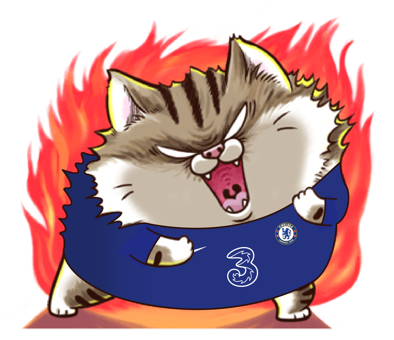 s6xc6T6.png