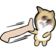 PBmjhJb.png