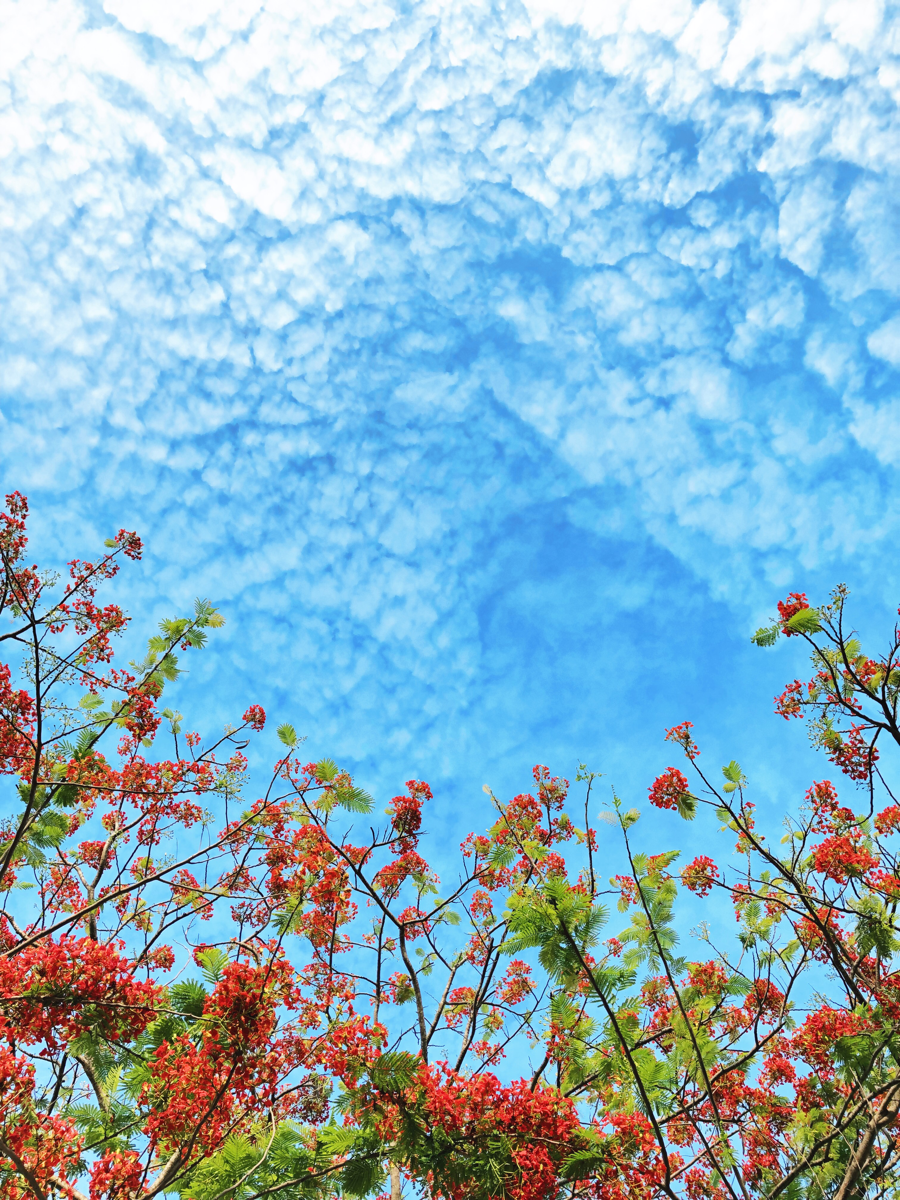 2020c14ca5d8-e804-4fbd-a83a-4c3e643265d7.png