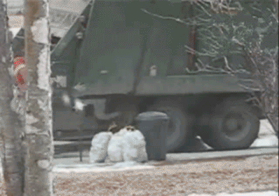 48016ef94a6b6be5eb2b0fdf56cf0edf.gif