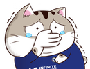 tQ1dAGt.png