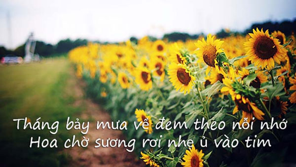 Thơ ngắn về tháng 7