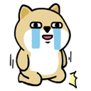 ZAoK8t4.png