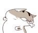 DnXuA8O.png
