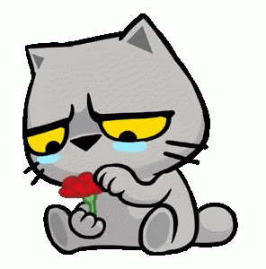 de7c30415be157a3f579b38bc6564461.gif