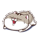 mqFxHMm.png