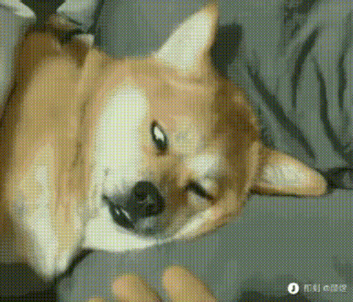 rNwZcuq.gif