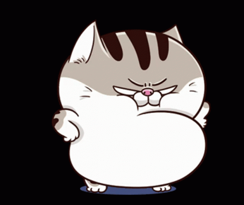 ami-fat-cat-fgcat-angry-gif-19350224.gif