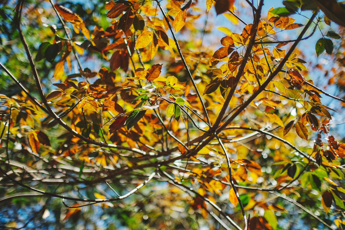 20210ef66a78-ded4-4533-b6a7-a783e8b7253a.jpg