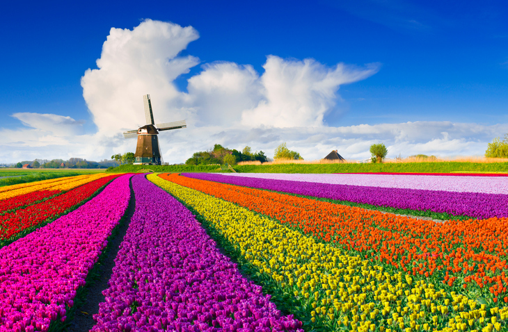 iStock-532183268.jpg