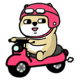 UVhnwww.png