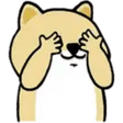 Zv9IXae.png