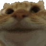 w2tcY0z.gif
