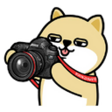 3i5O262.png