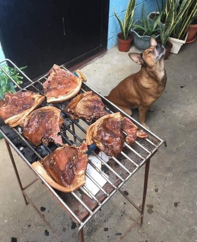PYz8OX0.jpg