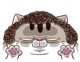 6cCI1zJ.png