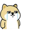 AU9sa3y.png