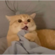 Bz3cN0d.png