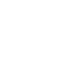 www.theforestbeans.com