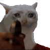 5yXOgPj.gif