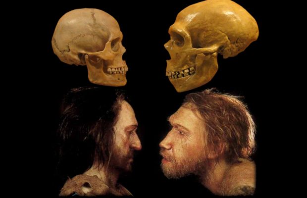 neanderthal-human.jpg