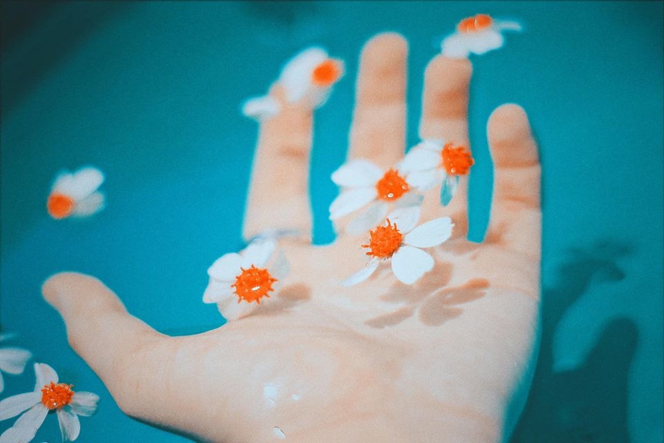 2021cbe1ebd2-2f59-430a-942c-26f9ba1282fa.jpg