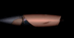 WtyP1zN.gif
