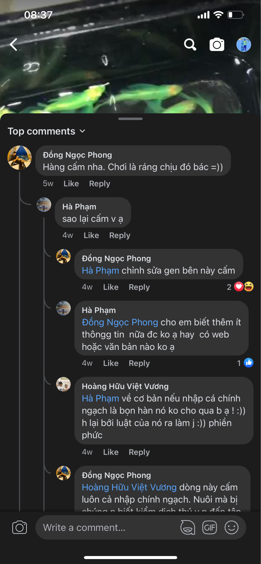 r2EpQnL.png