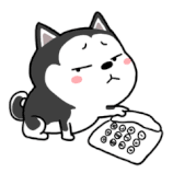m11WlJO.gif